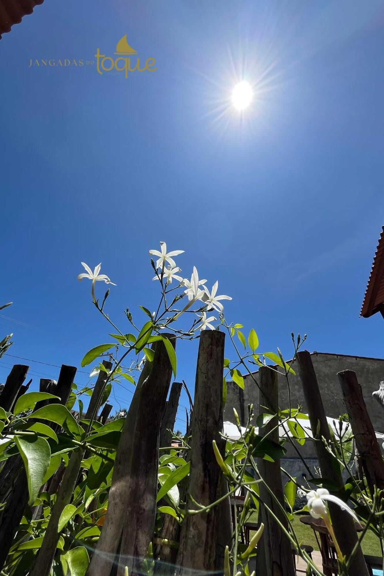 Jangadas Do Toque Milagres Flat 1 Terreo São Miguel dos Milagres Eksteriør bilde